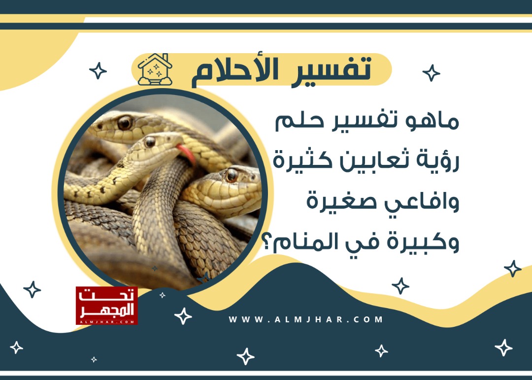 Interpretation of a dream about snakes in the house and fear of them