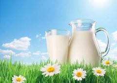 Milk in a dream