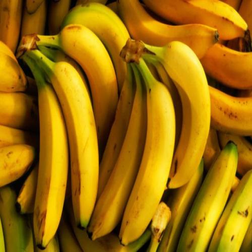 Bananoj en sonĝo