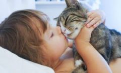 Melihat kucing dalam mimpi dan takut kepadanya untuk wanita bujang