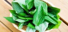 Mallow នៅក្នុងសុបិនមួយ។