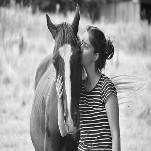 Å se en hest i en drøm for single kvinner