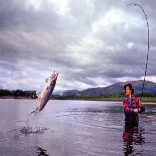 عريضة قابل للتعديل ذرة  ما هو تفسير حلم صيادة السمك لابن سيرين؟ – تفسير الاحلام اون لاين