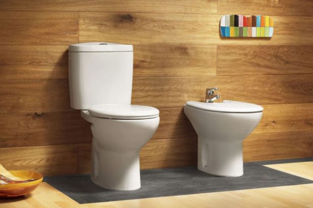 دورة المياه في المنام