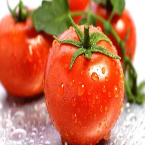 Зүүдэнд байгаа улаан лооль бол сайн мэдээ юм