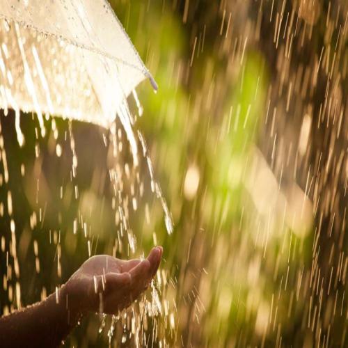 Tolkning av att se regn i en dröm för ensamstående kvinnor