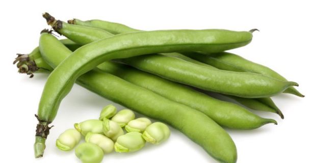 الفول في المنام