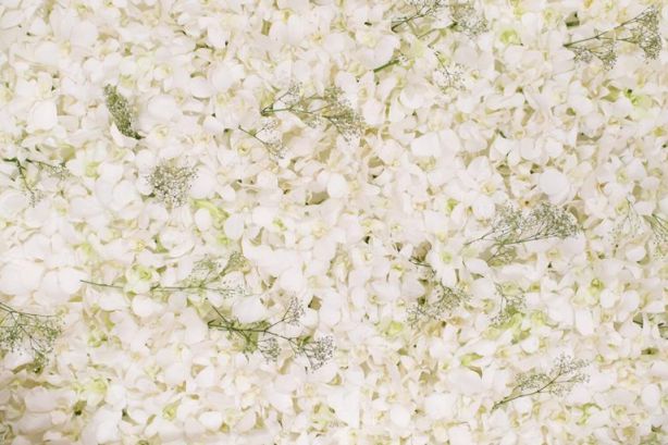 اللون الابيض في المنام