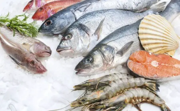 Interpretation of a dream about fish for married people