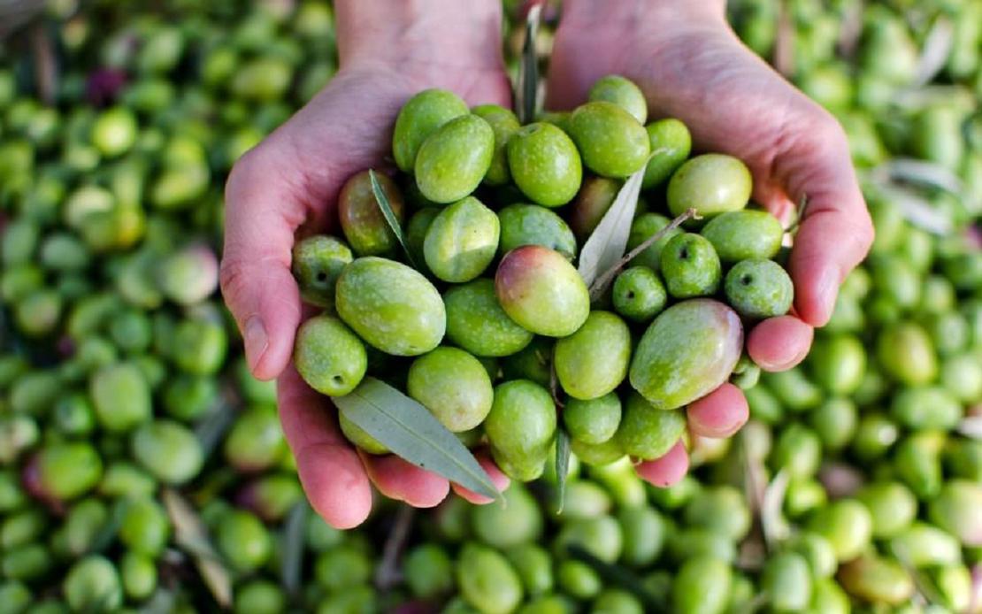 Ukudla ama-olives ephusheni