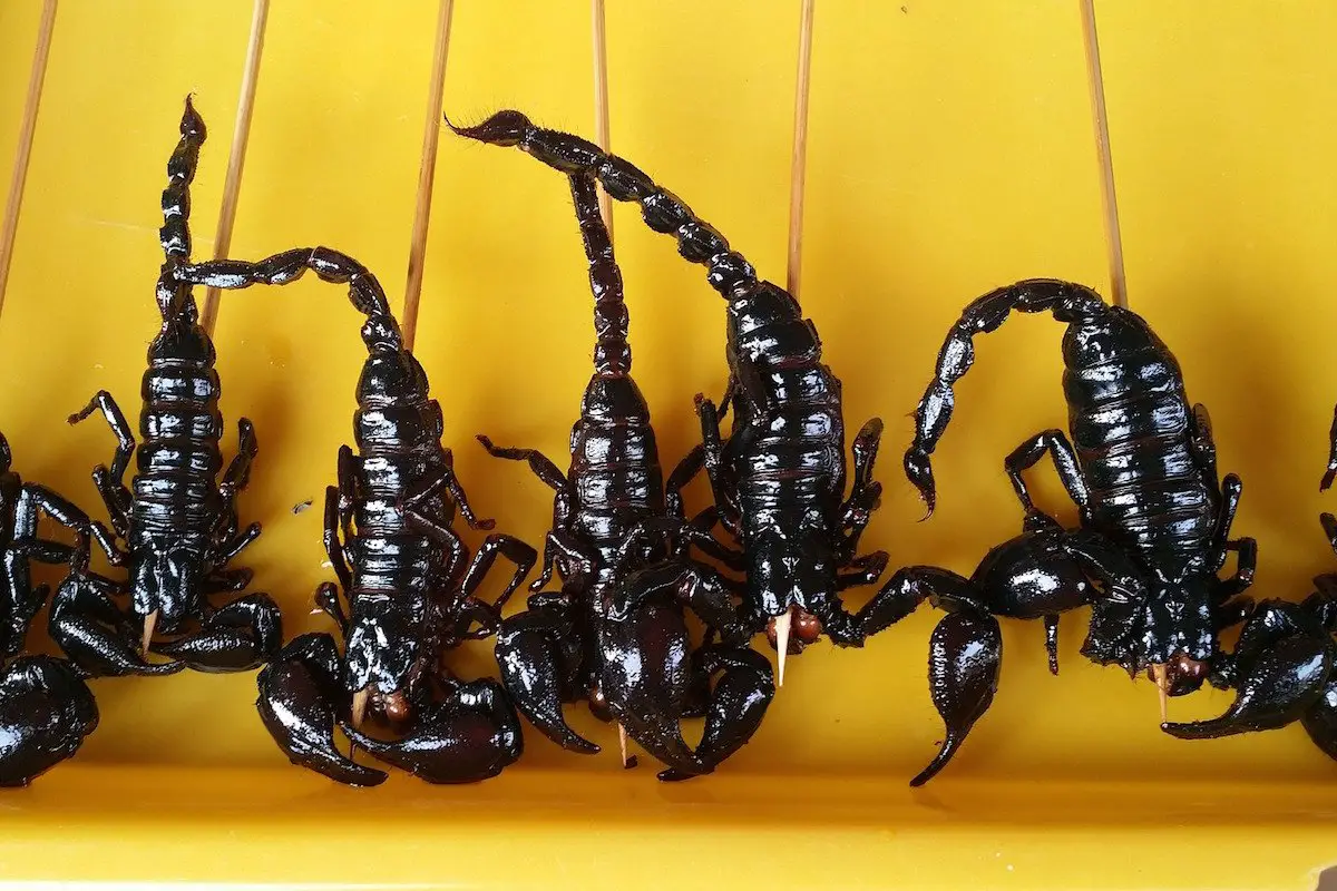 Fortolkning af en drøm af mange skorpioner