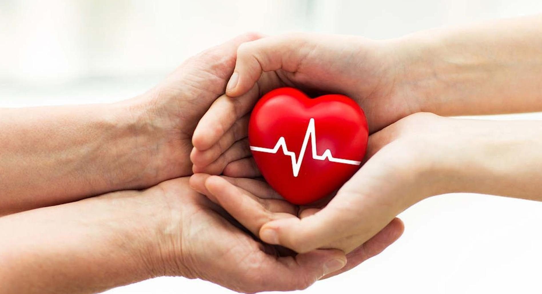 Det er tillatt å donere organer etter døden 1 e1660820842108 - Tolkning av drømmer på nett