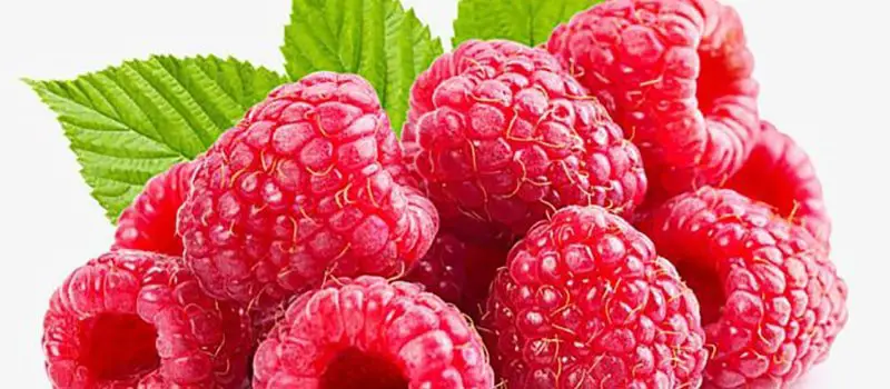 узнать о 36 пользе ягод – толкование снов онлайн