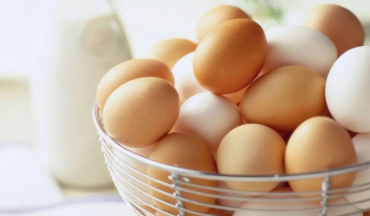 البيض في المنام للحامل - تفسير الاحلام اون لاين