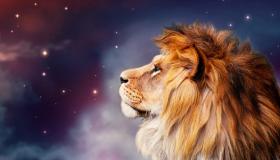 اکیلی عورت کے لیے خواب میں شیر دیکھنے کی تعبیر ابن سیرین کی کیا تعبیر ہے؟