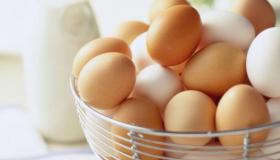 सपने में अंडे देखने के लिए इब्न सिरिन की सबसे महत्वपूर्ण व्याख्या
