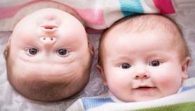 इब्न सिरिन द्वारा यदि आप सपने में जुड़वाँ बच्चों का सपना देखते हैं तो क्या होगा इसकी व्याख्या