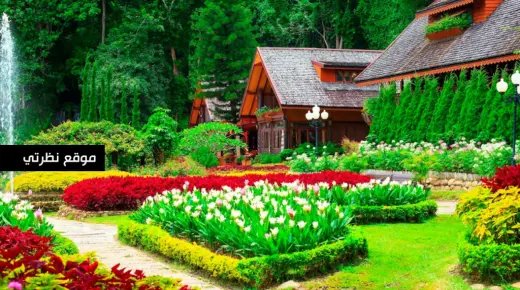इब्न सिरिन के अनुसार, एक अकेली महिला के लिए हरे बगीचे में घूमने के सपने की सबसे महत्वपूर्ण 20 व्याख्याएँ