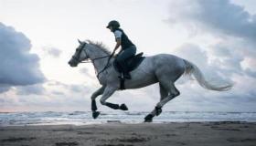 Kāda ir sapņa par jāšanu ar zirgu interpretācija vienai sievietei saskaņā ar Ibn Sirin?