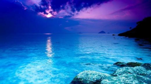 Hvad er fortolkningen af ​​at se havet i en drøm af Ibn Sirin?