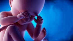 Leer meer over de interpretatie van een droom over het aborteren van een foetus voor een niet-zwangere vrouw in een droom volgens Ibn Sirin
