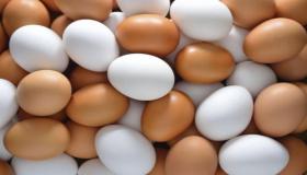 इब्न सिरिन के अनुसार सड़े हुए अंडे के सपने की क्या व्याख्या है?