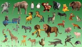 De 100 viktigste tolkningene av å drømme om dyr for store tolker