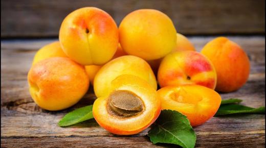 Lär dig om tolkningen av att se aprikoser i en dröm enligt Ibn Sirin