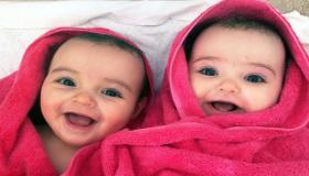 इब्न सिरिन के अनुसार एक विवाहित महिला के लिए जुड़वा बच्चों को जन्म देने के सपने की क्या व्याख्या है?