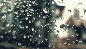 इब्न सिरिन द्वारा एकल महिलाओं के लिए एक सपने में बारिश की व्याख्या के बारे में जानें