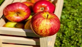 Lär dig om tolkningen av att se äpplen i en dröm av Ibn Sirin och Imam Al-Sadiq