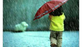 Hva er tolkningen av å se regn i en drøm ifølge Ibn Sirin?