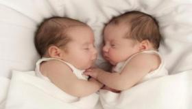 Apa tafsir mimpi melihat anak kembar menurut Ibnu Sirin?