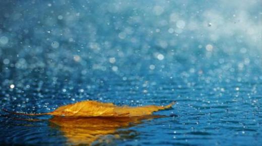 Անձրևի մասին երազի մեկնաբանությունը Իբն Սիրինի կողմից