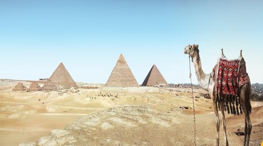 ما هو تفسير رؤية المصري في المنام لابن سيرين ؟