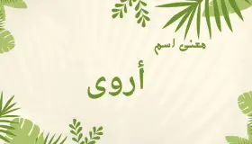 معنى اسم اروي