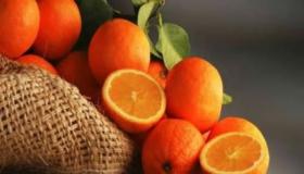 تفسير اعطاء البرتقال في المنام لابن سيرين