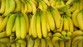 ما هو تفسير رؤية الموز في المنام للعزباء لابن سيرين؟
