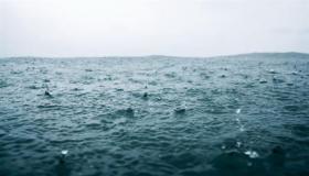 ما تفسير البحر والمطر في المنام لابن سيرين؟