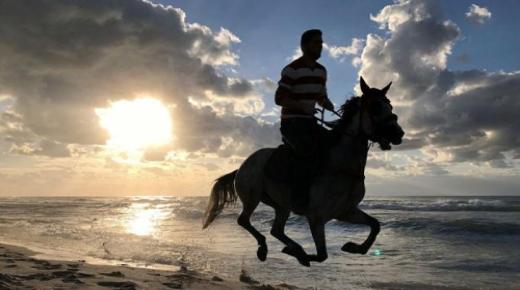 Lær fortolkningen af ​​en drøm om at ride på en hest for Ibn Sirin