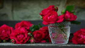 Vad är tolkningen av att se rosor i en dröm av Ibn Sirin?