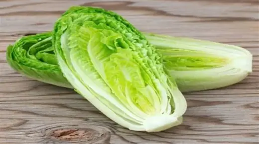 Tafsiri 100 muhimu zaidi za kuona lettuce katika ndoto na Ibn Sirin