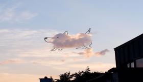 イブン・シリンによる、夢の中で動物の形をした雲の夢の解釈について詳しく学びましょう