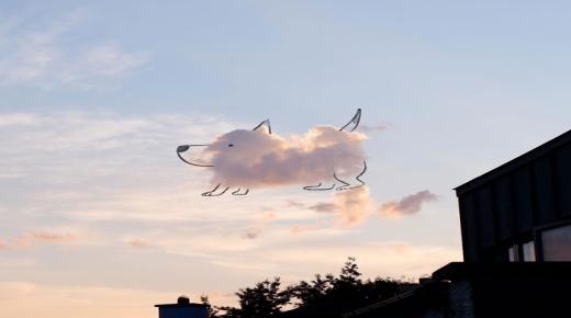 Obteniu més informació sobre la interpretació d'un somni sobre núvols en forma d'animals en un somni segons Ibn Sirin