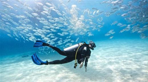 Lær om tolkningen av å se dykking i havet i en drøm av Ibn Sirin