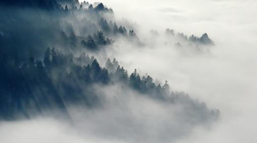 Interpretimet më të rëndësishme të shikimit të mjegullës në ëndërr nga Ibn Sirin