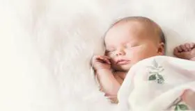 Ի՞նչ է մեկնաբանում հղի կնոջ՝ տղա ծնվելու երազանքը ըստ Իբն Սիրինի: