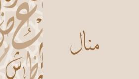 Obteniu més informació sobre el significat del nom Manal en un somni d'Ibn Sirin
