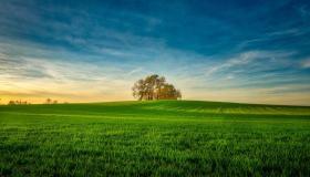 ¿Cuál es la interpretación de un sueño sobre tierra verde según Ibn Sirin?