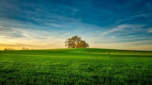 Wat is de interpretatie van een droom over groen land volgens Ibn Sirin?